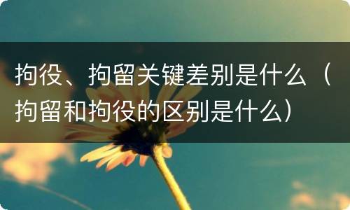 拘役、拘留关键差别是什么（拘留和拘役的区别是什么）