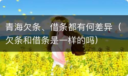 青海欠条、借条都有何差异（欠条和借条是一样的吗）