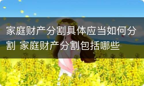 家庭财产分割具体应当如何分割 家庭财产分割包括哪些