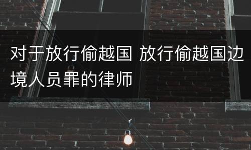对于放行偷越国 放行偷越国边境人员罪的律师