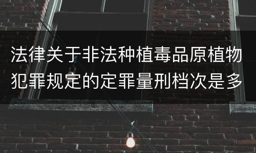 法律关于非法种植毒品原植物犯罪规定的定罪量刑档次是多少