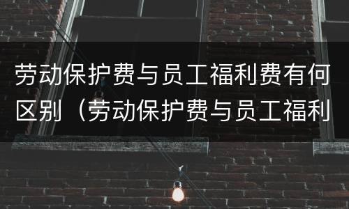 劳动保护费与员工福利费有何区别（劳动保护费与员工福利费有何区别和联系）