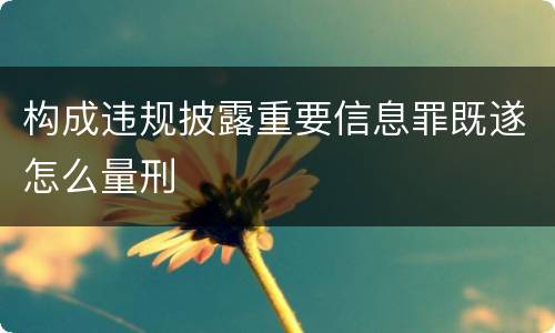 构成违规披露重要信息罪既遂怎么量刑