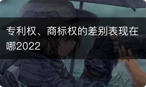 专利权、商标权的差别表现在哪2022