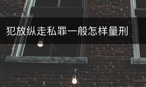 犯放纵走私罪一般怎样量刑