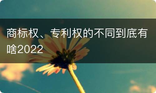 商标权、专利权的不同到底有啥2022
