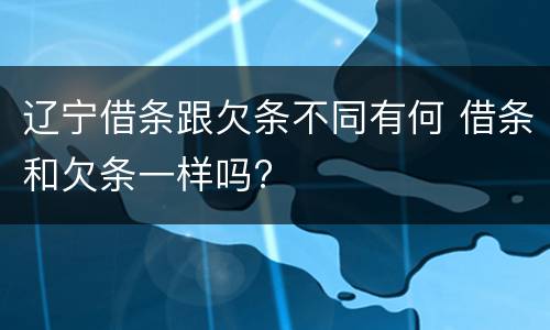 辽宁借条跟欠条不同有何 借条和欠条一样吗?