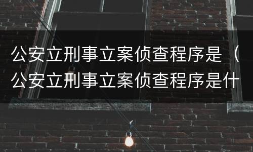 公安立刑事立案侦查程序是（公安立刑事立案侦查程序是什么意思）