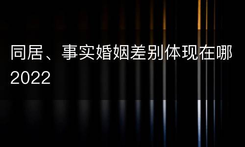 同居、事实婚姻差别体现在哪2022