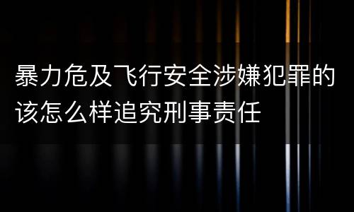 暴力危及飞行安全涉嫌犯罪的该怎么样追究刑事责任
