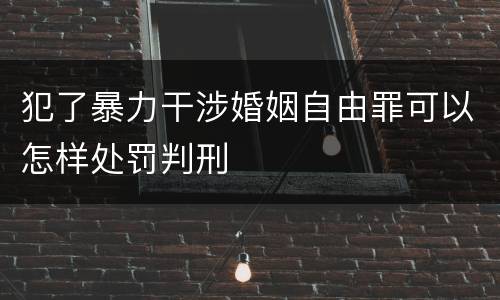 犯了暴力干涉婚姻自由罪可以怎样处罚判刑