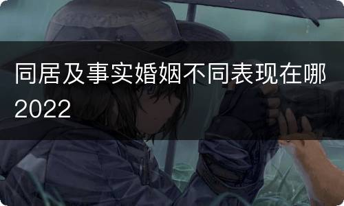 同居及事实婚姻不同表现在哪2022