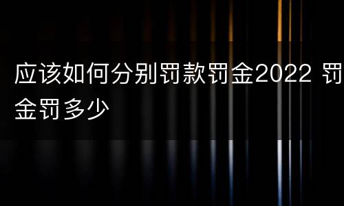 应该如何分别罚款罚金2022 罚金罚多少