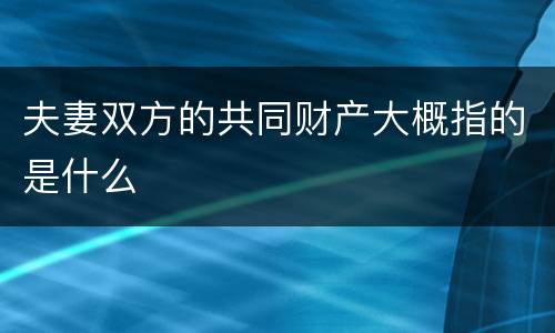夫妻双方的共同财产大概指的是什么