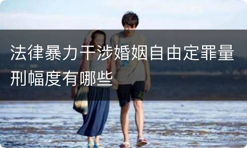 法律暴力干涉婚姻自由定罪量刑幅度有哪些