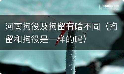 河南拘役及拘留有啥不同（拘留和拘役是一样的吗）