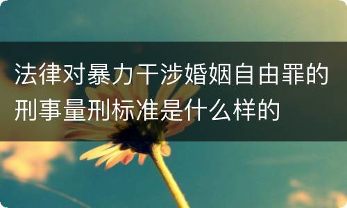 法律对暴力干涉婚姻自由罪的刑事量刑标准是什么样的