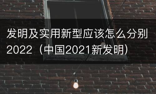 发明及实用新型应该怎么分别2022（中国2021新发明）