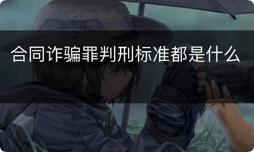 合同诈骗罪判刑标准都是什么