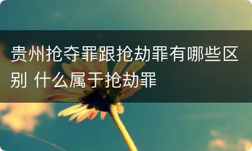 贵州抢夺罪跟抢劫罪有哪些区别 什么属于抢劫罪