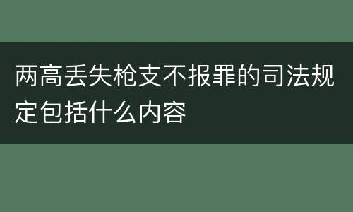 两高丢失枪支不报罪的司法规定包括什么内容