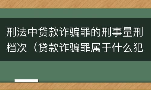 刑法中贷款诈骗罪的刑事量刑档次（贷款诈骗罪属于什么犯罪类型）