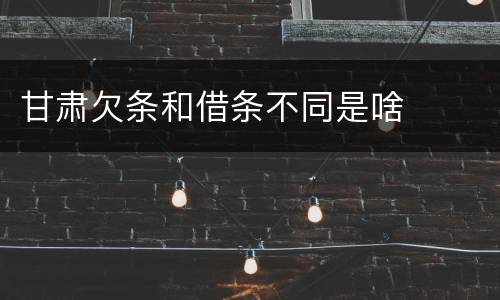 甘肃欠条和借条不同是啥
