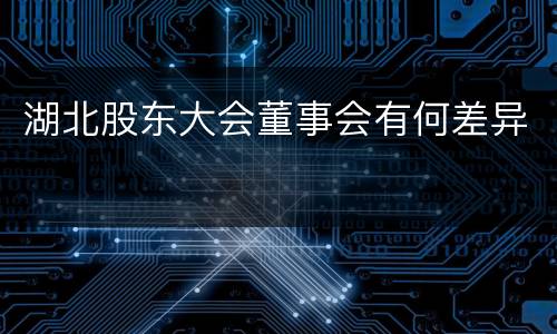 湖北股东大会董事会有何差异