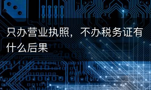 只办营业执照，不办税务证有什么后果