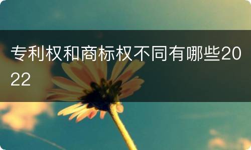 专利权和商标权不同有哪些2022