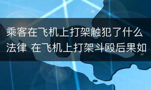乘客在飞机上打架触犯了什么法律 在飞机上打架斗殴后果如何