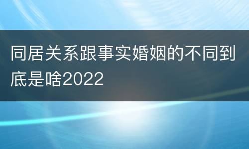同居关系跟事实婚姻的不同到底是啥2022
