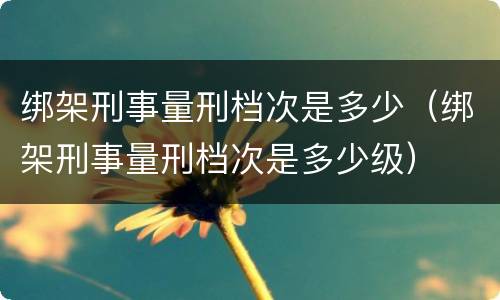 绑架刑事量刑档次是多少（绑架刑事量刑档次是多少级）
