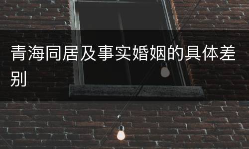 青海同居及事实婚姻的具体差别