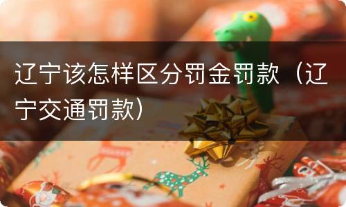 辽宁该怎样区分罚金罚款（辽宁交通罚款）