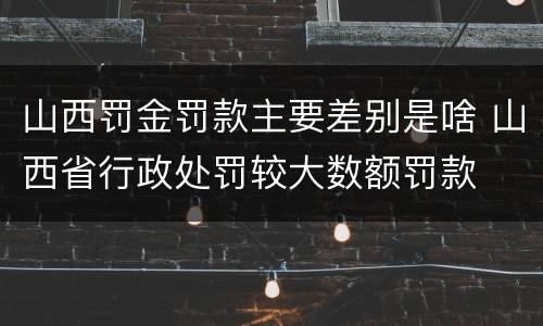 山西罚金罚款主要差别是啥 山西省行政处罚较大数额罚款