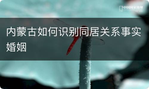 内蒙古如何识别同居关系事实婚姻