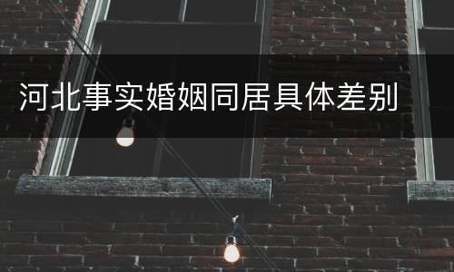 河北事实婚姻同居具体差别