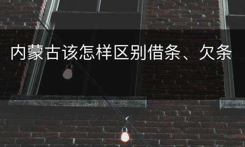 内蒙古该怎样区别借条、欠条