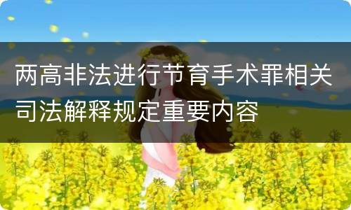 两高非法进行节育手术罪相关司法解释规定重要内容