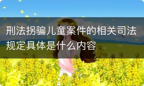 刑法拐骗儿童案件的相关司法规定具体是什么内容