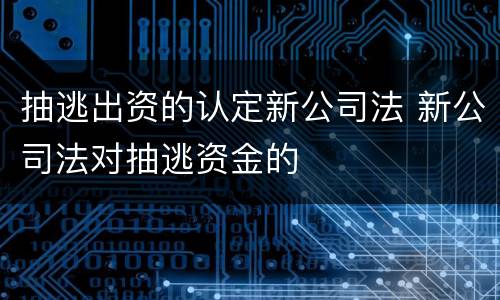 抽逃出资的认定新公司法 新公司法对抽逃资金的