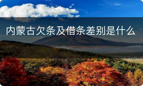 内蒙古欠条及借条差别是什么
