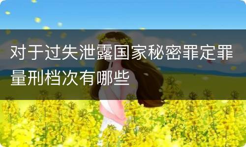 对于过失泄露国家秘密罪定罪量刑档次有哪些