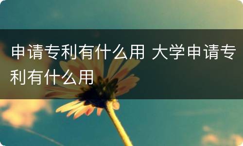 申请专利有什么用 大学申请专利有什么用