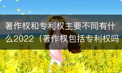 著作权和专利权主要不同有什么2022（著作权包括专利权吗）