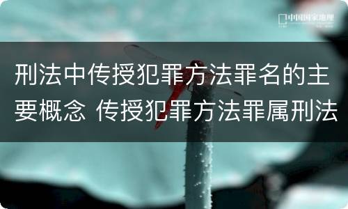 刑法中传授犯罪方法罪名的主要概念 传授犯罪方法罪属刑法规定的