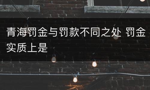 青海罚金与罚款不同之处 罚金实质上是