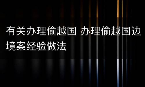 有关办理偷越国 办理偷越国边境案经验做法