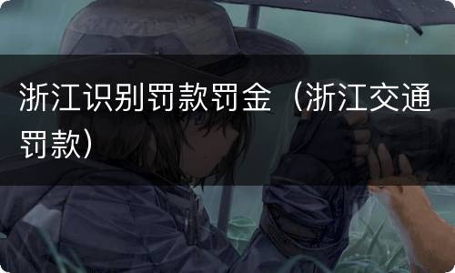 浙江识别罚款罚金（浙江交通罚款）